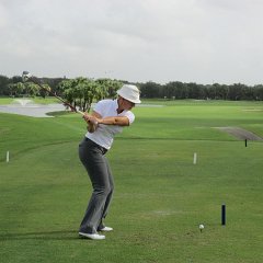 IMG 0065