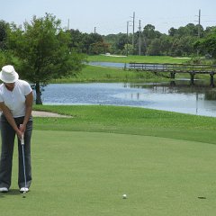 IMG 0105