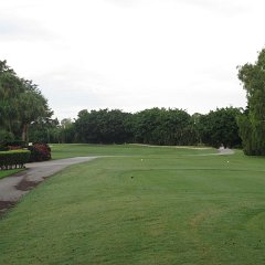 IMG 0817